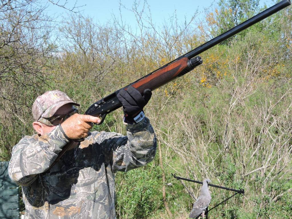 The Ultimate Dove Hunting&nbsp;Destination