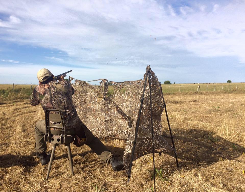 Top Dove Hunting Destinations in&nbsp;Argentina